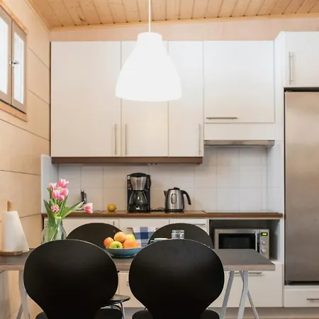 Kuoreksenniemi & Lakehouse Puumala