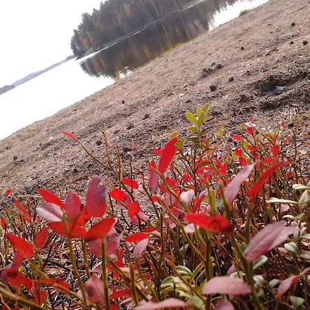 Сasa de vacaciones Kuoreksenniemi & Lakehouse Puumala