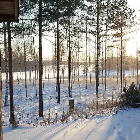 Kuoreksenniemi & Lakehouse Puumala